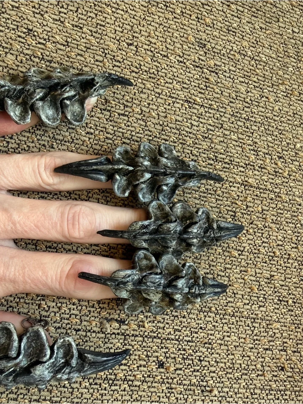 Ornate Gothic Witch Queen Vertebrae Crown and a Full Set of Vertebrae Claw Rings